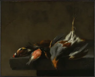 Kuolleiden lintujen asetelma, n. 1660